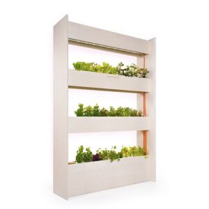 Smart Garten | LivingBloom Intelligente Wandfarm