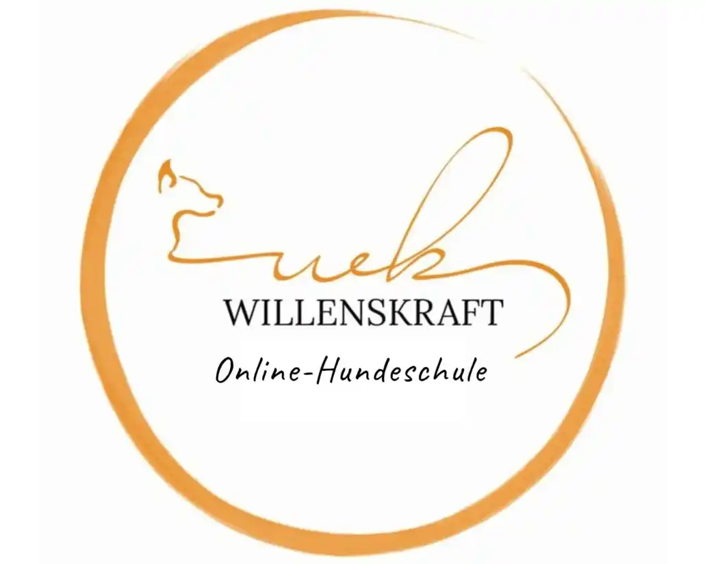 Ersttermin Online Hundeschule: Mit Bianca Willen